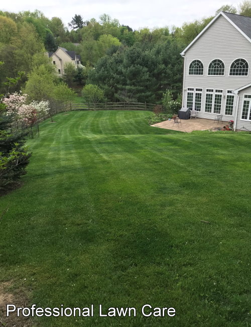 1_Lawncare.jpg